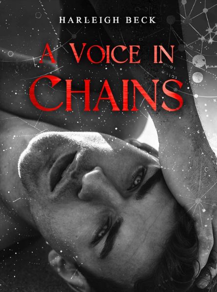A Voice In Chains