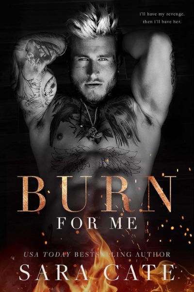 Burn for Me: A Dark Age Gap Romance (Spitfire)