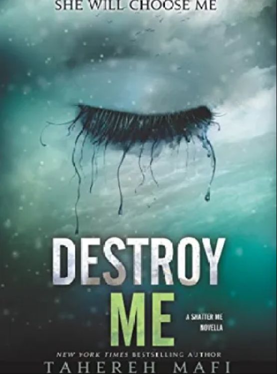 Destroy Me (Shatter Me Book 1)