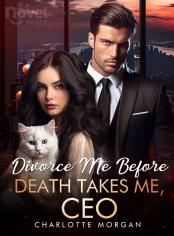Divorce Me Before Death Takes Me, CEO
