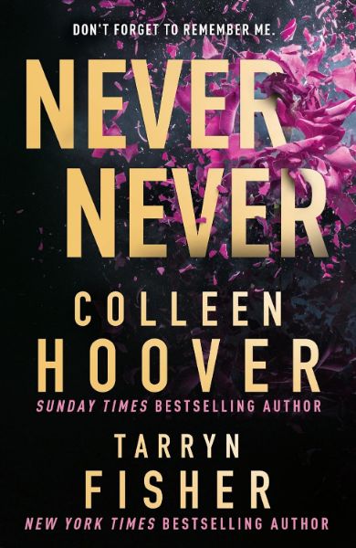 Never Never: dark romance suspense thriller from the BookTok sensation