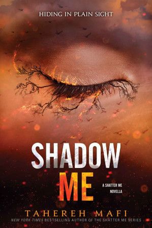Shadow Me (Shatter Me)