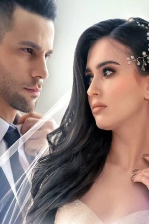 The Billionaire Heiress Strikes Back (Veronica and Carter)