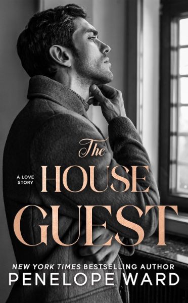 The House Guest: A Contemporary Romance