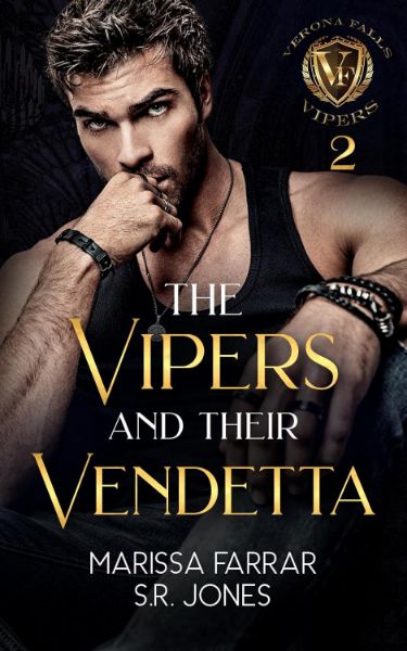 The Vipers and Their Vendetta (Verona Falls Vipers Book 2)
