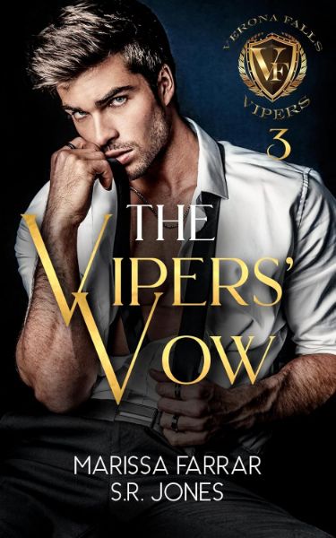 The Vipers’ Vow (Verona Falls Vipers Book 3)